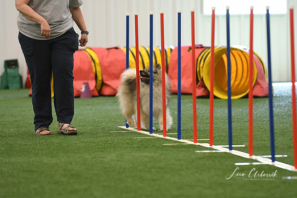 DigitalDSC_7929