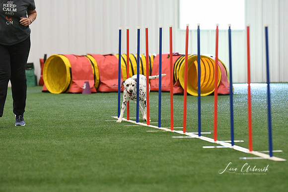 DigitalDSC_7913