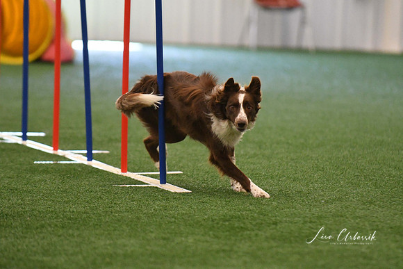 DigitalDSC_7875