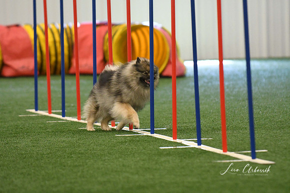 DigitalDSC_7888