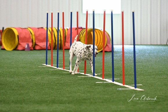 DigitalDSC_7926