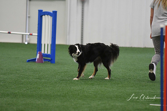 DigitalDSC_7967