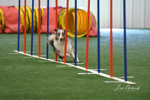 DigitalDSC_7897