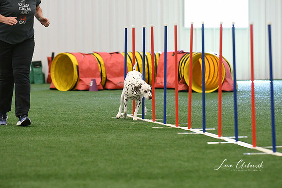 DigitalDSC_7915