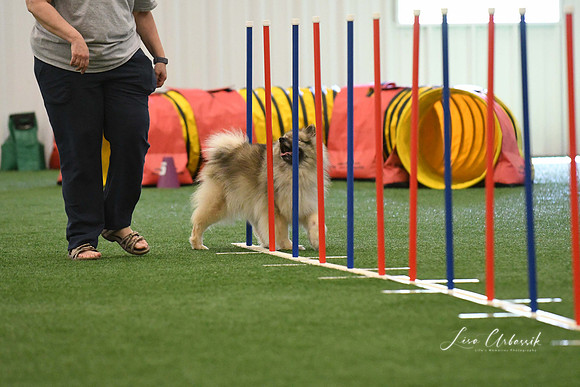 DigitalDSC_7928