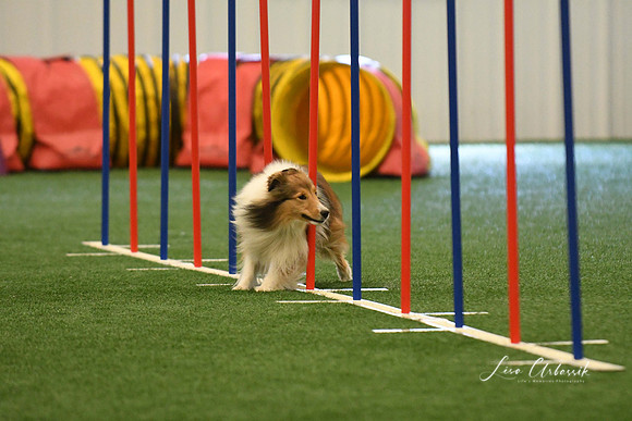 DigitalDSC_7868