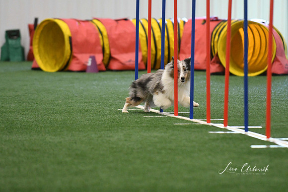 DigitalDSC_7893