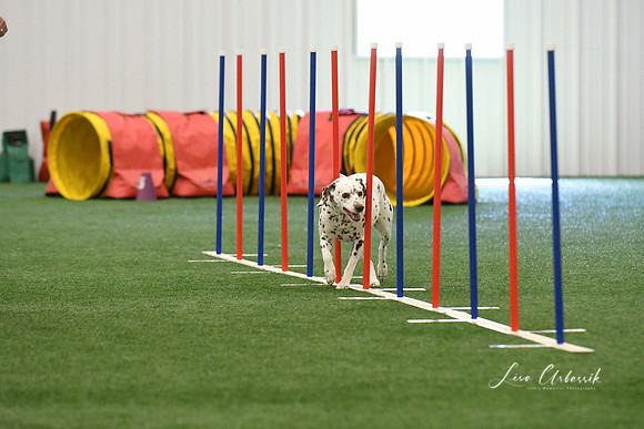 DigitalDSC_7923