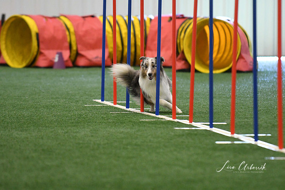 DigitalDSC_7894