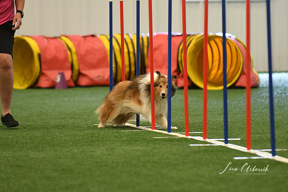 DigitalDSC_7862