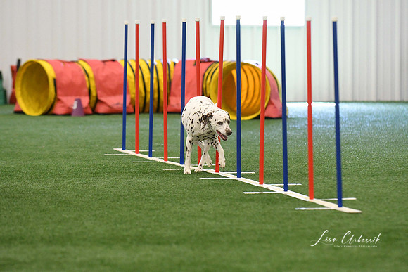 DigitalDSC_7925
