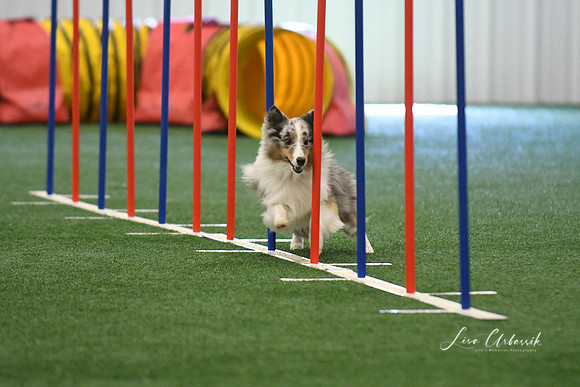 DigitalDSC_7900