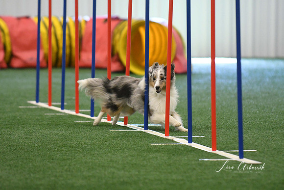 DigitalDSC_7899