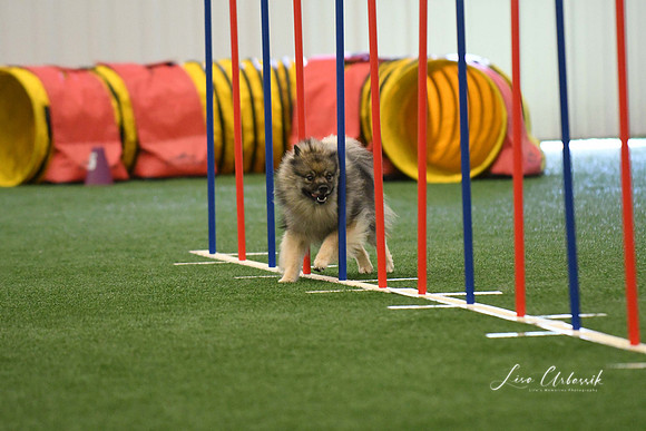 DigitalDSC_7882