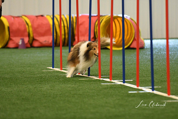 DigitalDSC_7865