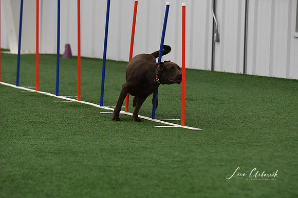 DigitalDSC_7856