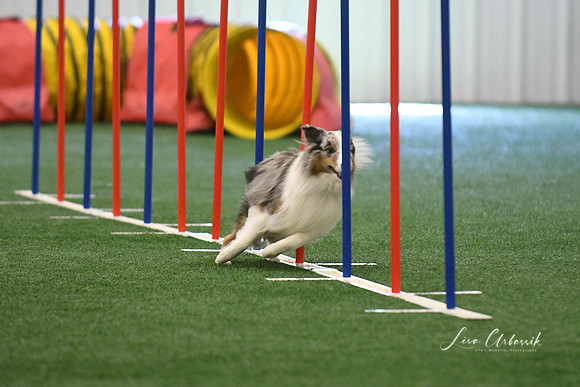 DigitalDSC_7901