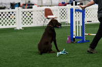DigitalDSC_7836