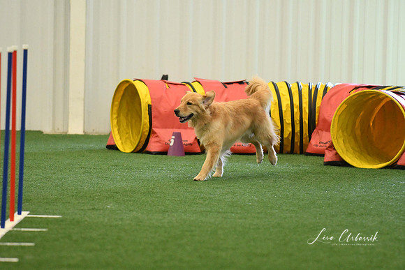 DigitalDSC_7974