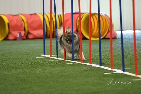 DigitalDSC_7881
