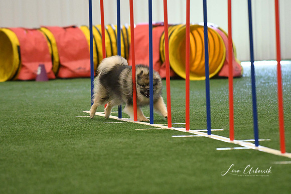 DigitalDSC_7880