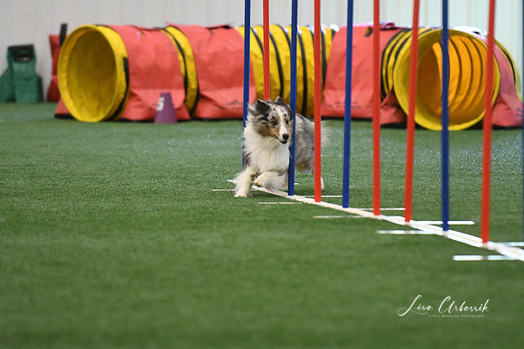DigitalDSC_7892