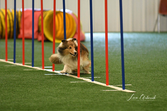 DigitalDSC_7871