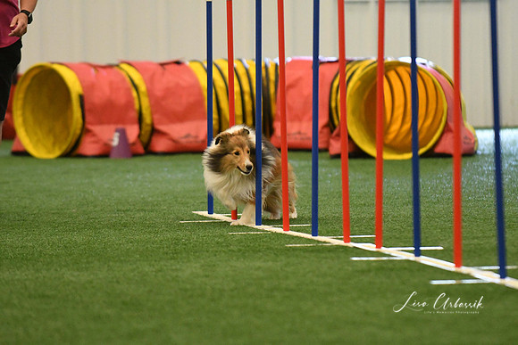 DigitalDSC_7860