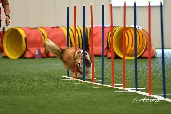 DigitalDSC_7859