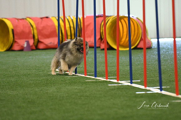 DigitalDSC_7879