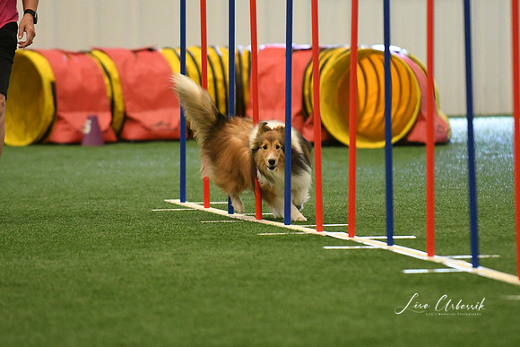 DigitalDSC_7863