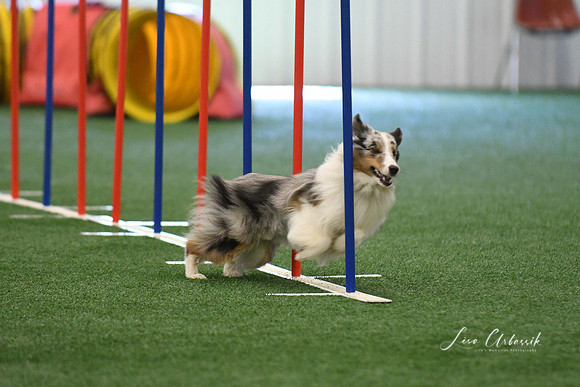 DigitalDSC_7904