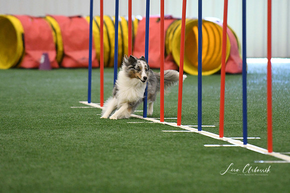 DigitalDSC_7895