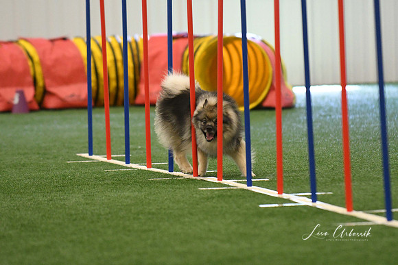 DigitalDSC_7885