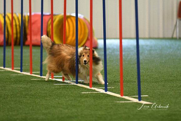 DigitalDSC_7870