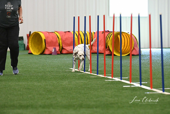 DigitalDSC_7914