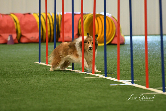 DigitalDSC_7866