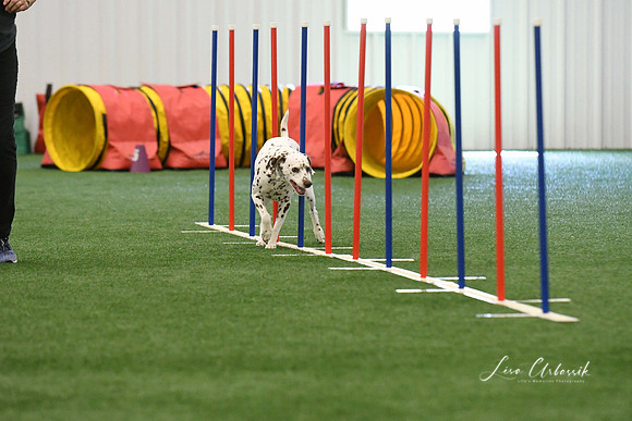 DigitalDSC_7920