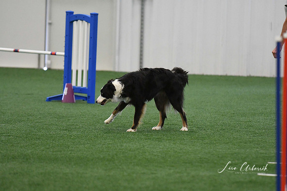 DigitalDSC_7968