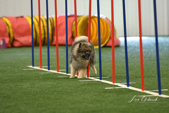 DigitalDSC_7887