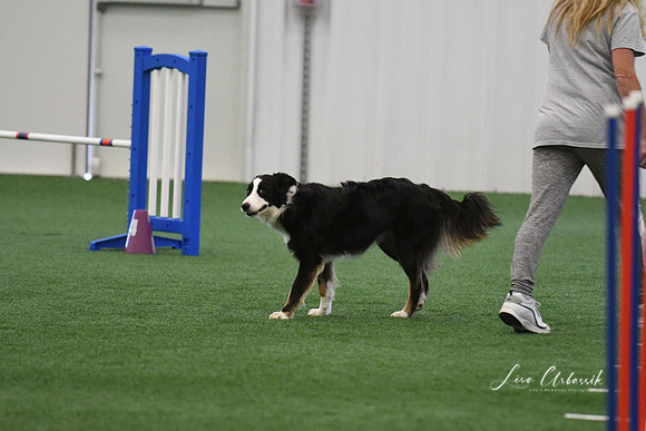DigitalDSC_7966
