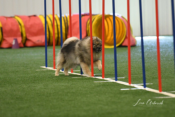 DigitalDSC_7884