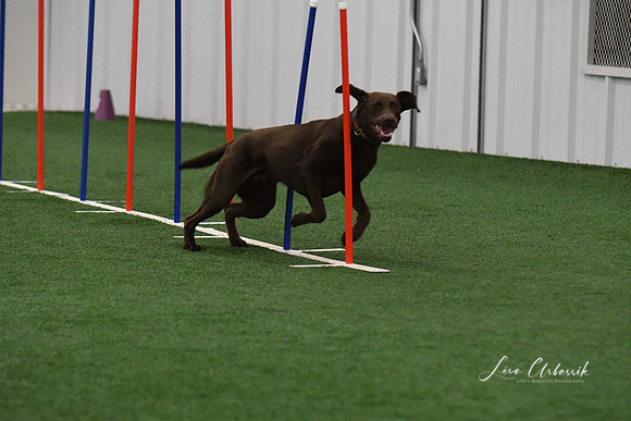DigitalDSC_7857