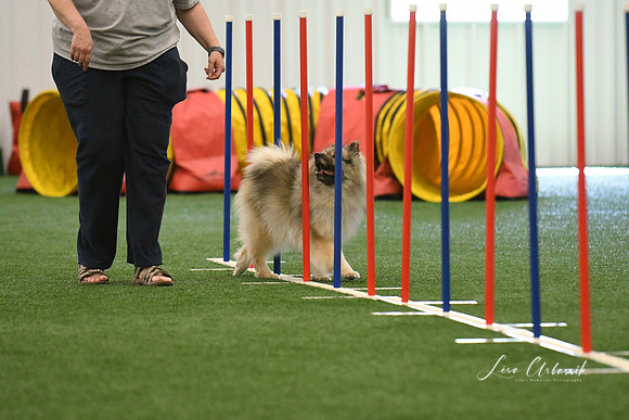DigitalDSC_7933
