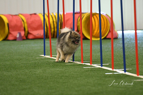 DigitalDSC_7883