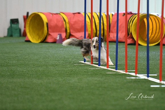 DigitalDSC_7891