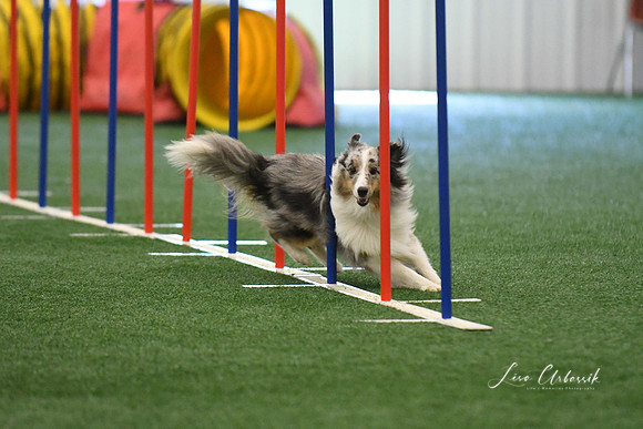 DigitalDSC_7902