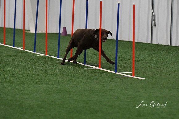 DigitalDSC_7853