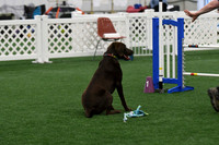 DigitalDSC_7837