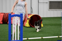 DigitalDSC_9758